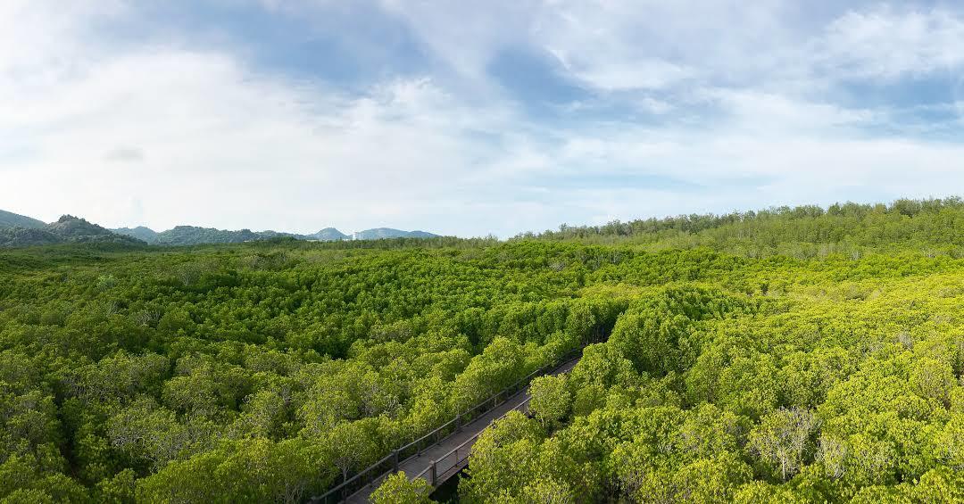 Waldschutzgebiet Pran Buri