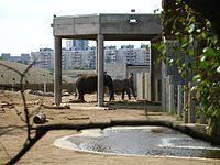 Tallinn Zoo