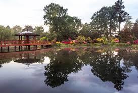 Jardín japonés