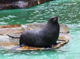Zoo Dortmund