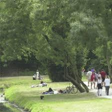 Parc Charruyer
