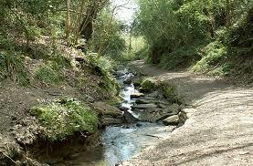 Old Roar Gill