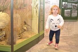 Saaremaa Museum