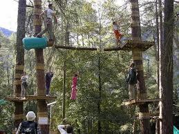 Flying Park