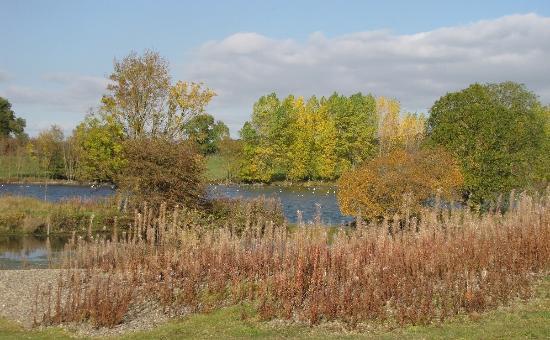 Marfield Wetlands Nature Reserve