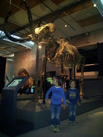 De Museumfabriek