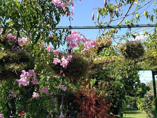 El Sueno Jardin Botanico