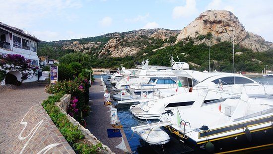 Marina Dell'Orso