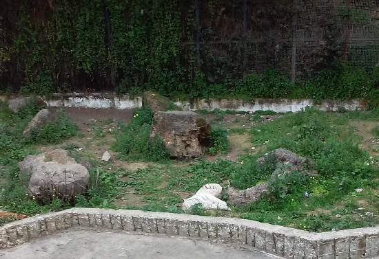 Zoo de Ben Aknoun
