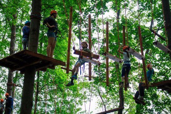 Rope Park Wiewiora