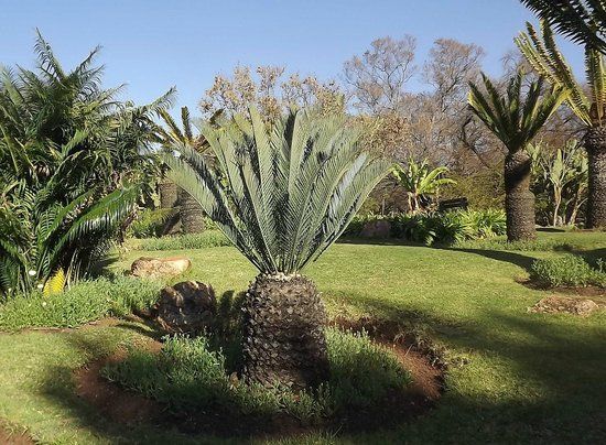 Jan Celliers Park