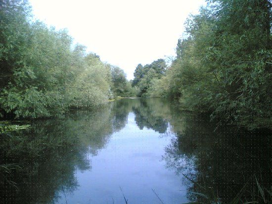 Beeston Sidings Nature Reserve