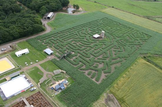 Apple Jacks Adventure Farm