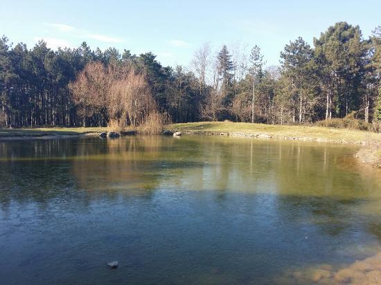 Pirsinella Park