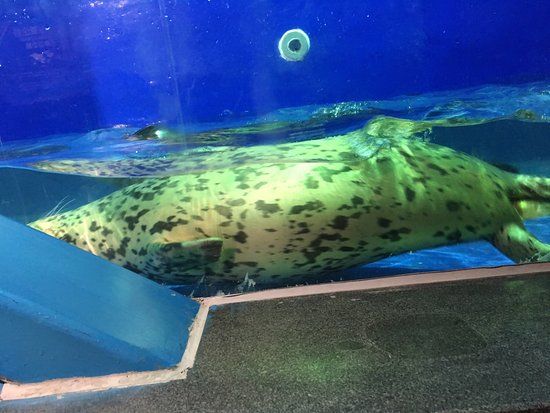 The Cube Oceanarium