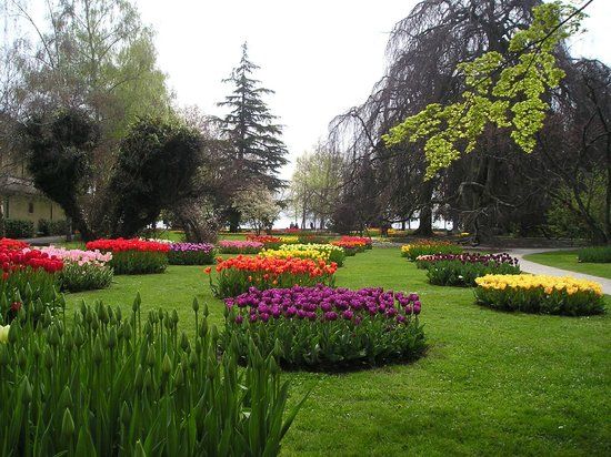 Conservatoire et Jardin botaniques de la Ville de Genève