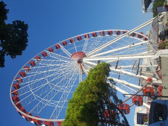 The Wheel of Venice