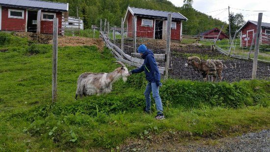 Tromsø Mini Zoo
