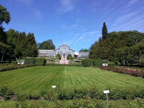 Jardin d'hiver
