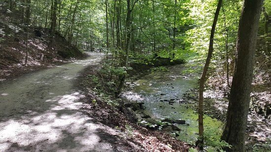 Bazantarnia Park