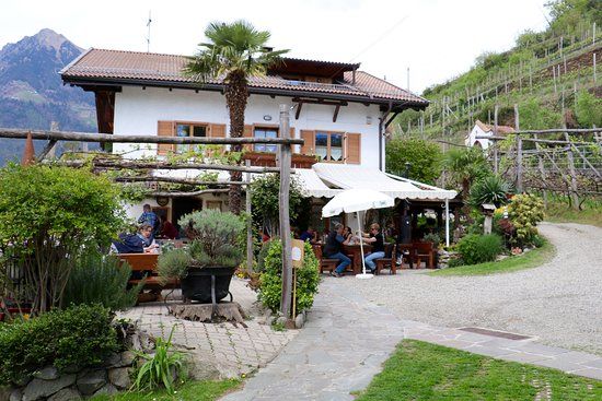 Fernblick im Weinberg