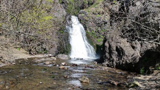 Dog Creek Falls