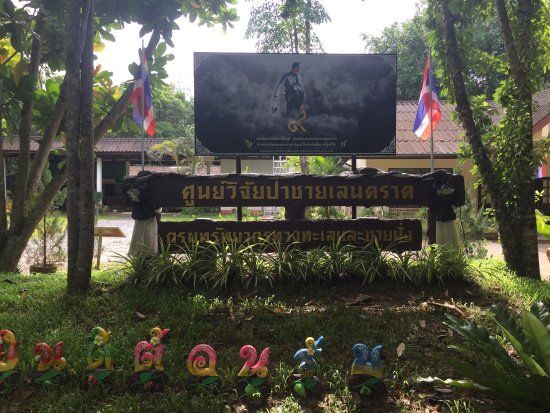 Salakphet Mangrove Walkway