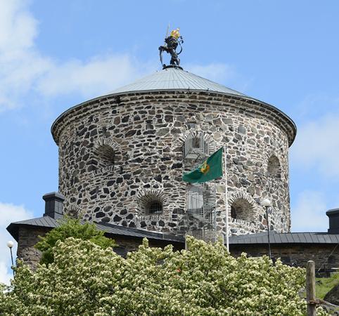 Löwe von Skansen