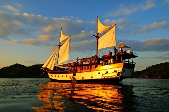 Wunderpus Liveaboard