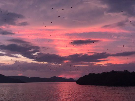 Kalong Island