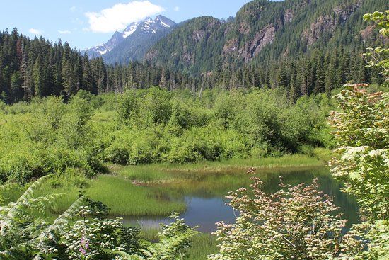 Mountain Loop Highway