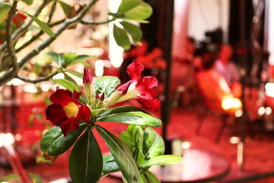 Cafe Montejo Merida