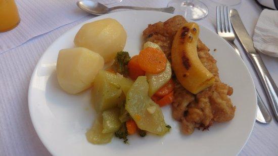 Gaivota