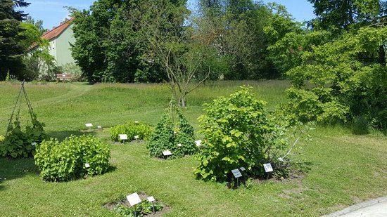 Botanischer Garten