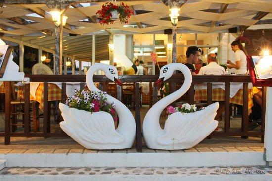 Kyknos Taverna