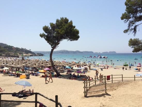 Paradise Beach Paguera