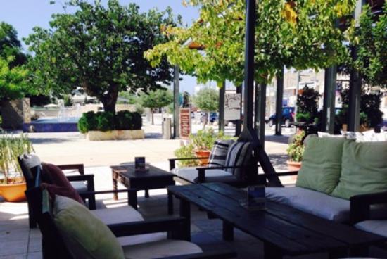 The Lemon Tree