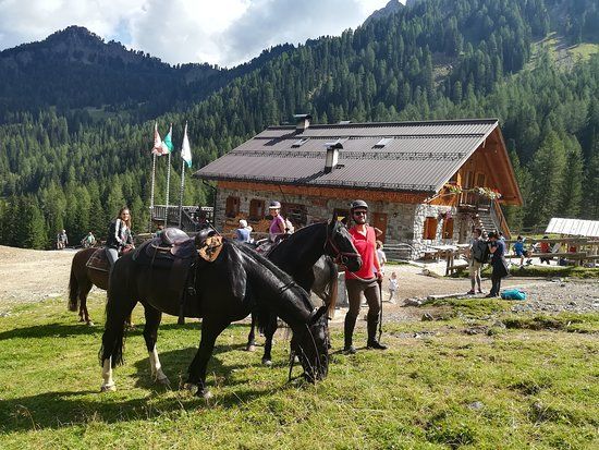 Horse Ranch Highland Cattle