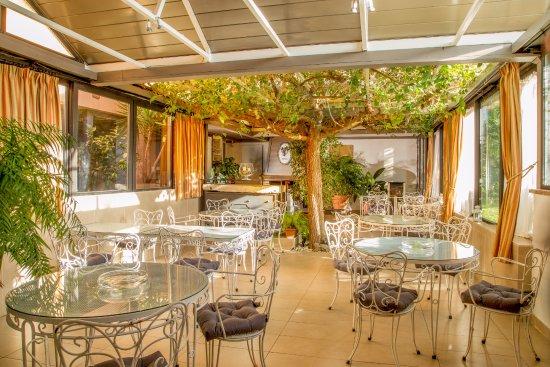 Summer Ark Café