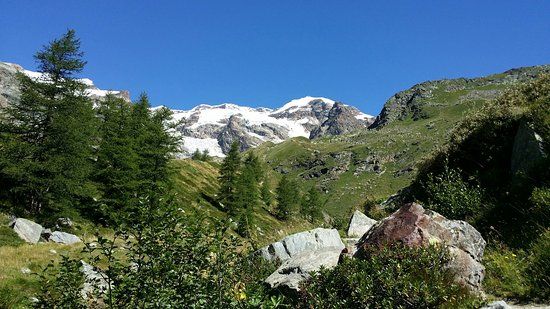 Sorgenti del Lys