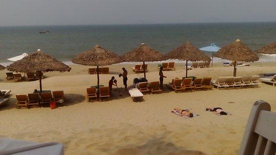 My Le