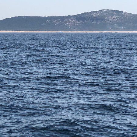 Montalvo Beach
