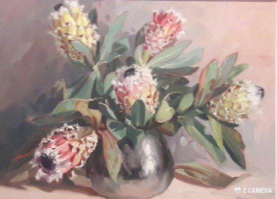 Gallerie Pieter Scheenloop