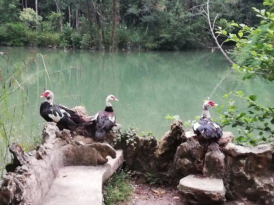 Curia Park