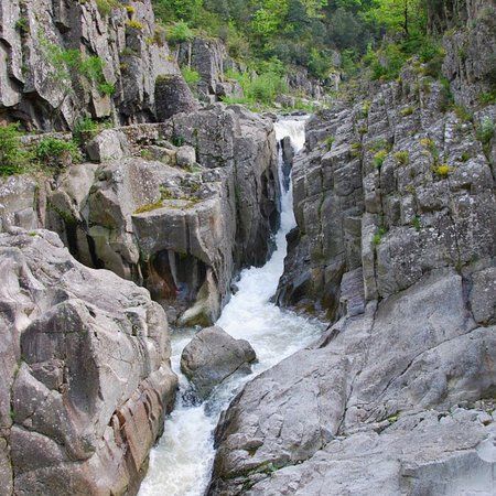 Cuves du Duzon