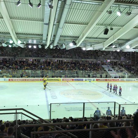 die Steffl Arena