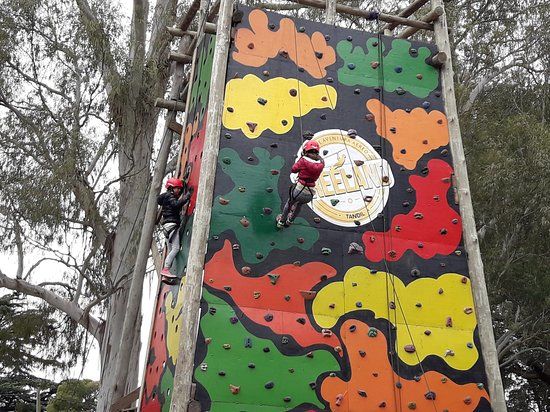 Treeland parque multiaventura