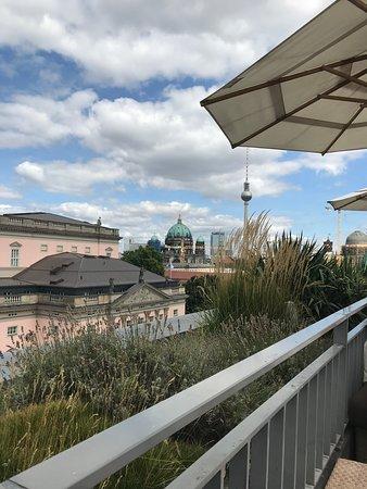The Rooftop Terrace