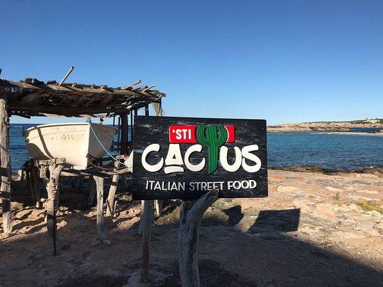 'Sti Cactus