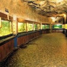 Musee Aquarium